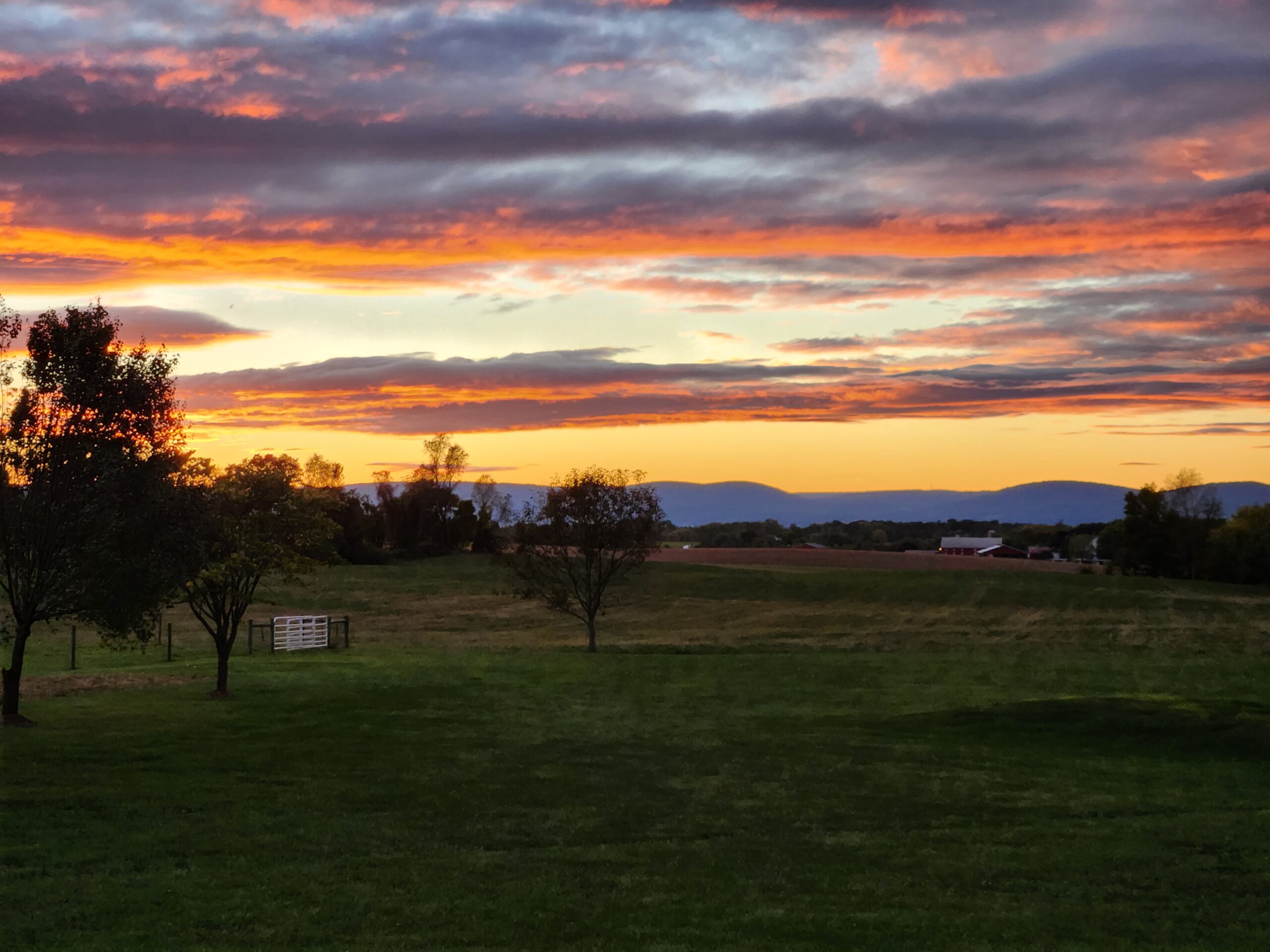 This image conveys the peace of farmland at sunset. A tree lined field is in the foreground and mountains are in the background.