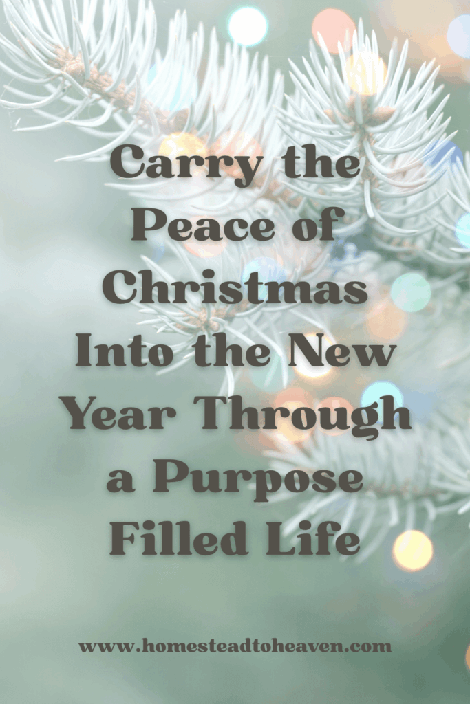 Carry the Peace of Christmas into the New Year through a purpose filled life title image
